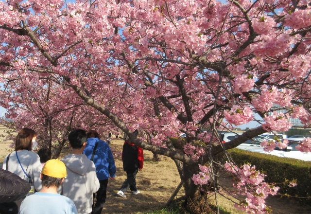 行事・イベントについて