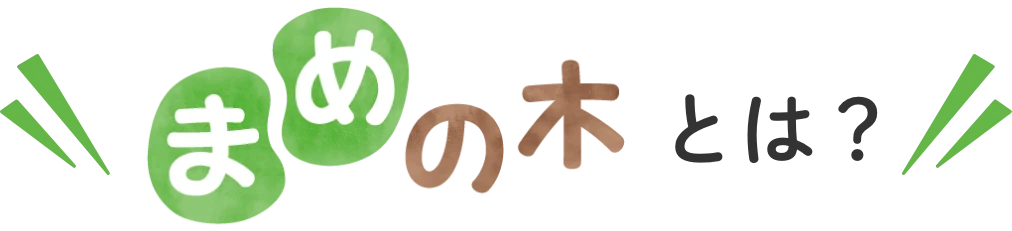 まめの木とは？